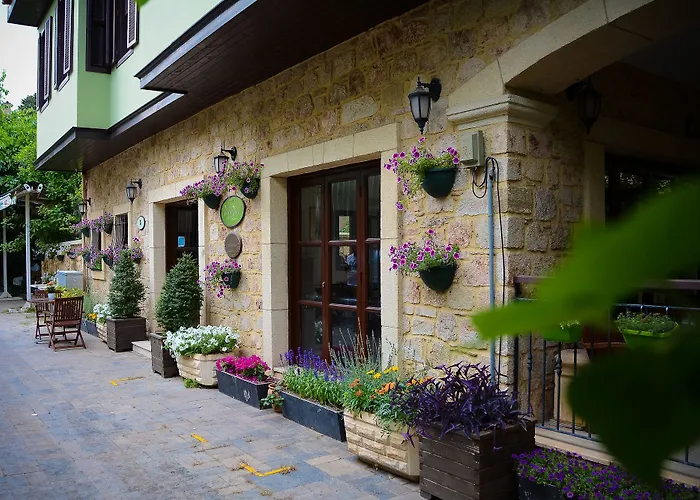 Villa Verde
